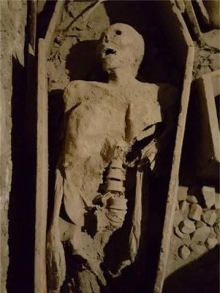  Mới đây, những kẻ phá hoại đã đột nhập hầm mộ cổ của nhà thờ St Michan. Theo đó, chúng đã đánh cắp phần đầu của một xác ướp "Thập tự quân" có niên đại khoảng 800 năm tuổi. 