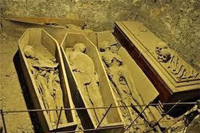  Sau khi phát hiện hầm mộ có dấu hiệu bị kẻ gian đột nhập, cha xứ địa phương đã thông báo cho cảnh sát tới điều tra nhằm sớm tìm ra những tên trộm đã lẻn vào và lấy cắp đầu xác ướp. 