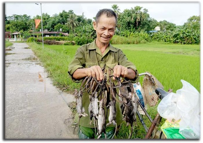 Thành quả sau mỗi đêm đi gài bẫy. 