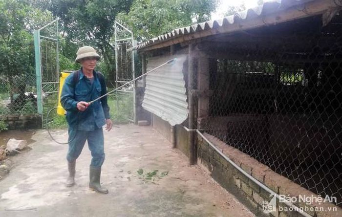 Phun tiêu độc khử trùng tại trang trại anh Nguyễn Viết Cường, xã Diễn Tháp (Diễn Châu). Ảnh: Mai Giang