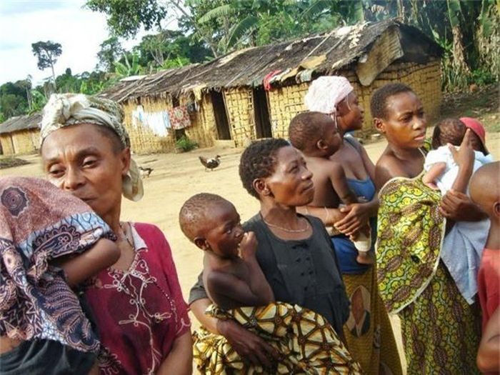  Mỗi hộ gia đình Pygmy sống độc lập dưới một túp lều và quây tròn trong một không gian chung của bộ lạc. Nhà của tộc trưởng sẽ được đặt ở vị trí trung tâm của vòng tròn. 