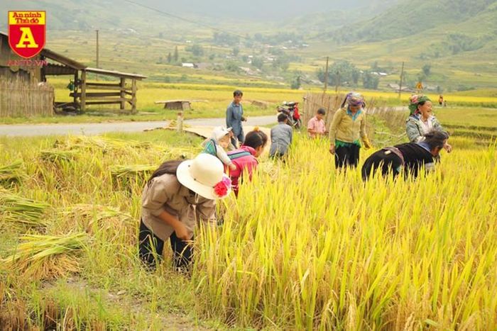  Đồng bào nơi đây cũng rất thân thiện khi biết bạn muốn chụp hình 