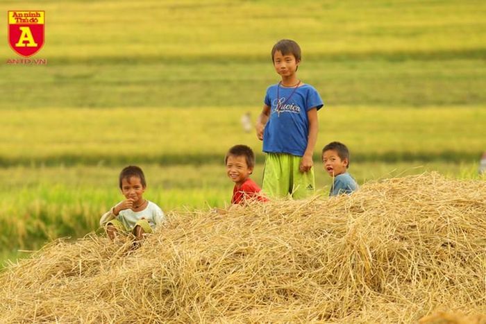  Các em nhỏ người Hà Nhì thích thú hướng về ống kính máy ảnh 