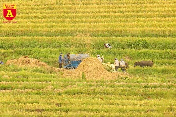  Đến Y Tý vào tháng 9 để ngắm mùa vàng, bạn dường như được "lãi" thêm trong hành trình khám phá 