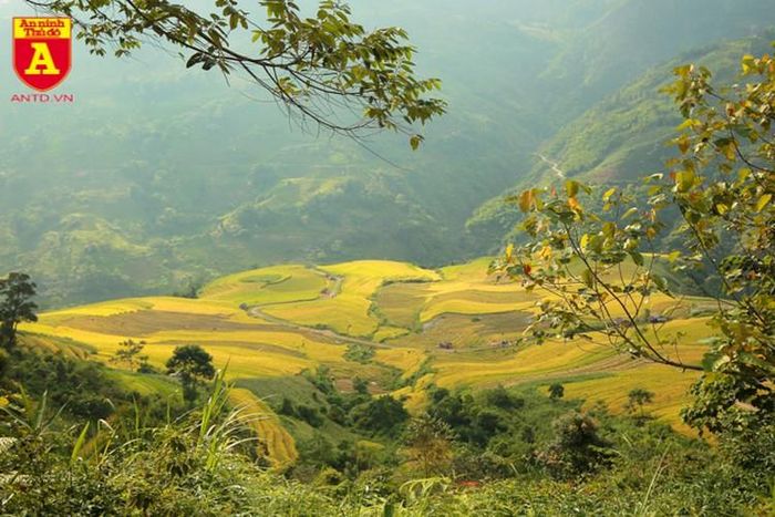  Bạn có thể di chuyển từ Hà Nội đến Y Tý với khoảng cách khoảng hơn 360 cây số để cảm nhận vẻ đẹp hùng vĩ của đại ngàn Tây Bắc này 