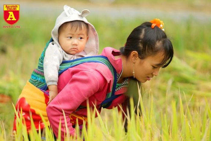  Hình ảnh rất bình dị của đồng bào vùng cao mà bất cứ nhiếp ảnh gia nào cũng mong muốn được thu trọn trong ống kính 