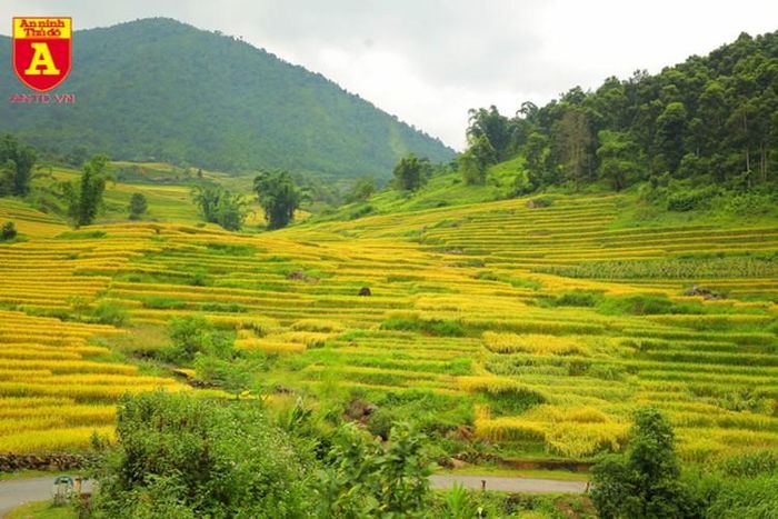 Ý Tý không chỉ đẹp bởi được mệnh danh là “vùng đất sương mù” và có những cánh rừng nguyên sinh độc đáo mà còn là một điểm du lịch quyến rũ mang đậm bản sắc của các dân tộc vùng cao Tây Bắc 