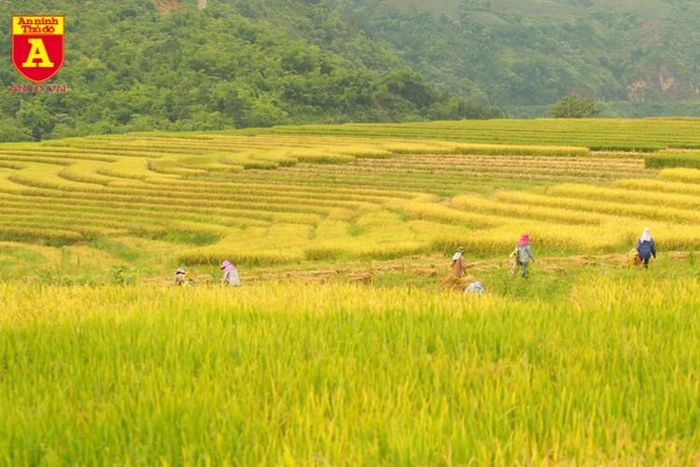  Bức tranh thiên nhiên mà hiếm nơi nào có được 