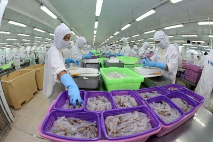 Sao Ta đã tranh thủ được cơ hội kinh doanh, trong khi nhiều đồng nghiệp lo ngại vướng thủ tục pháp lý và rủi ro
