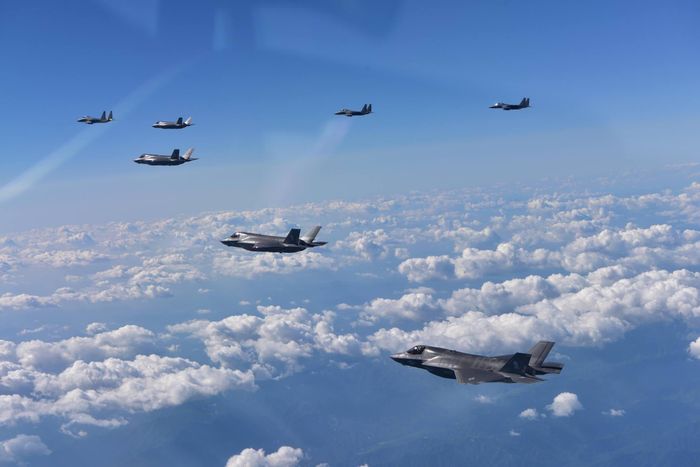 Với tư cách là một nước thành viên của NATO có biên giới chung với Nga, Ba Lan từng là một trong những "thành trì" chống phương Tây trong thời Chiến tranh Lạnh. Tuy nhiên ngay sau khi Liên Xô tan rã, Ba Lan đã có nhiều quyết định bước ngoặt để thoát Nga và chuyển sang thân phương Tây. Nguồn ảnh: BI.