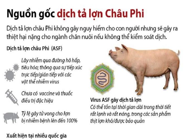  Được biết, giá thịt lợn ở Việt Nam, sau khi bùng phát dịch cũng tăng mạnh. Giá thịt lợn được dự báo sẽ tiếp tục tăng cho đến hết năm 2019 