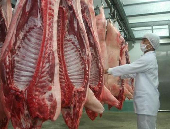  Dịch tả lợn Châu Phi hiện vẫn đang diễn biến phức tạp. Các cơ quan chức năng vẫn đang tìm ra hướng giải quyết tốt nhất để ngăn chặn dịch bệnh. Trước hết, mỗi hộ chăn nuôi cần vệ sinh chuồng trại của mình sạch sẽ, khi vật nuôi có dấu hiệu bị bệnh cần báo ngay cho cơ quan chức năng để cách ly mầm bệnh. Người tiêu dùng cũng cần phải mua thịt tại các quầy thực phẩm có uy tín, tránh mua phải thịt nhiễm bệnh gây ảnh hưởng đến sức khỏe 