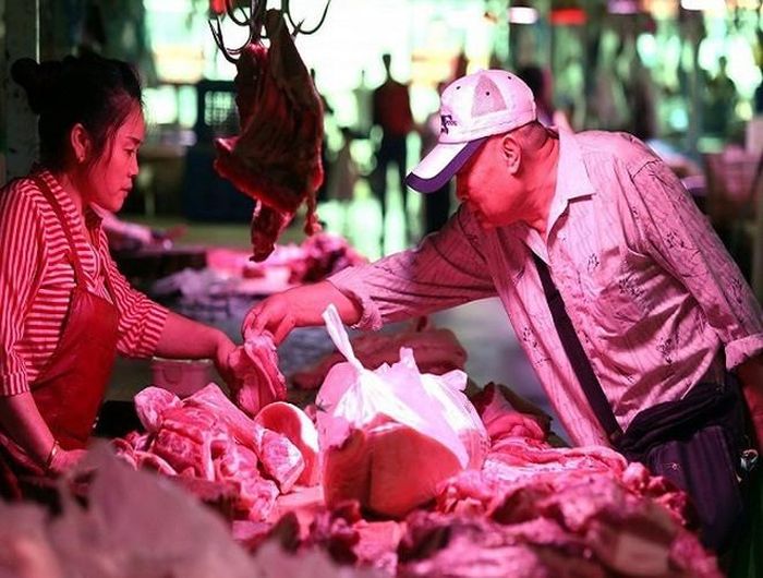  Để khắc phục tình trạng khan hiếm thịt lợn, Chính phủ Trung Quốc đã có rất nhiều biện pháp tích cực. Một mặt tích cực đẩy lùi dịch tả lợn, một mặt hỗ trợ khuyến khích người dân mở lại chuồng trại chăn nuôi 