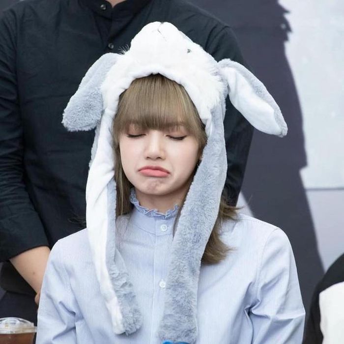 Đằng sau sự mạnh mẽ, đầy khí chất, hình ảnh Lisa ngoài đời gắn liền với danh hiệu “nữ hoàng meme” (những hành động, biểu cảm gây hài, mang tính giải trí cao) của Black Pink. Nhiều fan cam ghi lại hình ảnh nghịch ngợm của cô trong những buổi fan sign cùng Black Pink đều khiến cộng đồng Blink (tên fanclub của Black Pink) thích thú và được chia sẻ rộng rãi trên các diễn đàn trong và ngoài nước. 