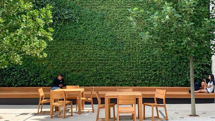 Trên hai bức tường này, Apple phủ một thảm cỏ xanh kéo dài từ đỉnh xuống dãy ghế gỗ đặt dưới chân, liền kề là cửa chính của Store với khung thép không gỉ và khối kính đặc trưng. Ảnh phản chiếu tạo cảm giác "bức tường xanh" kéo dài ra phía sau.