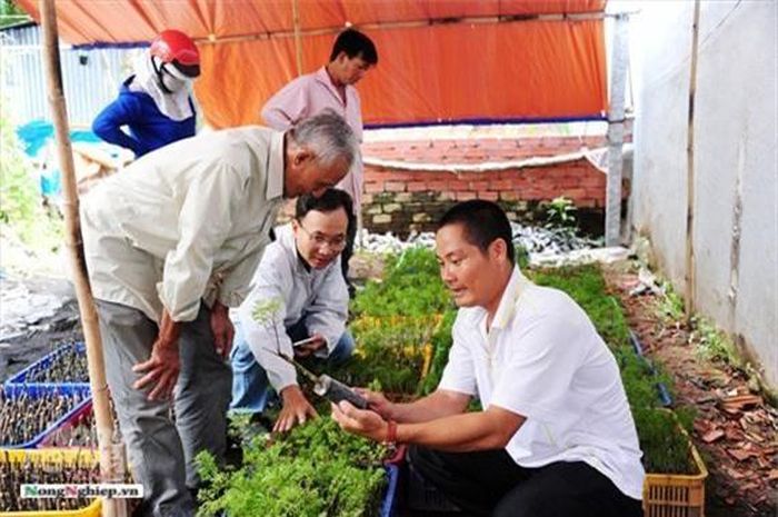  Hiện tại mỗi ngày cơ sở anh Định giải quyết công ăn việc làm tại địa phương khoảng 40 lao động, với mức lương từ 4-4,5 triệu đồng/tháng.