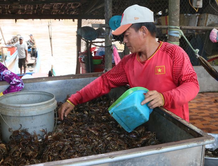 Cua đồng là một trong những đặc sản mùa nước nổi.