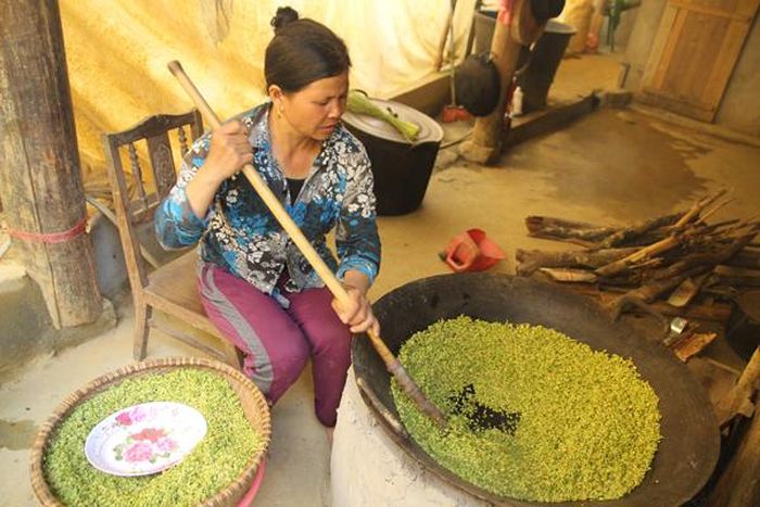 Người dân xã Tà Chải (Bắc Hà) hái lúa nếp nương về làm cốm.