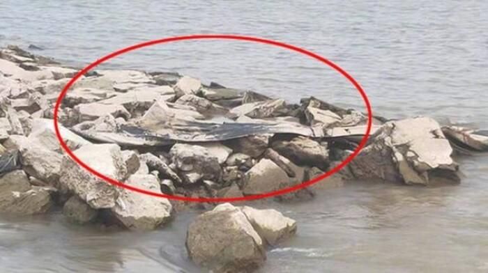Sinh vật được cho là “quái vật hồ Loch Ness” phiên bản Trung Quốc.