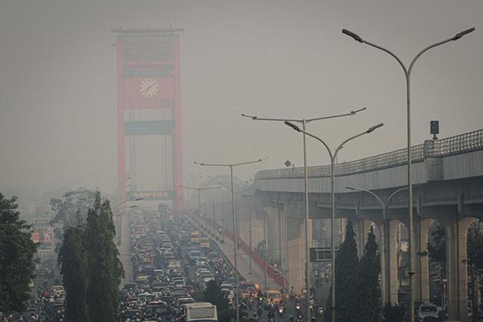 Lực lượng chức năng Indonesia còn bắt giữ gần 200 người liên quan đến vụ cháy rừng. Khoảng 40 chuyến bay và 3 sân bay phải tạm dừng hoạt động do khói mù. Ảnh: AFP
