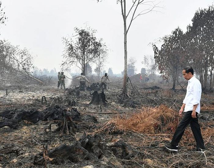 Tổng thống Indonesia Joko Widodo đến hiện trường vụ cháy rừng tại Riau, Indonesia. Ảnh: AP