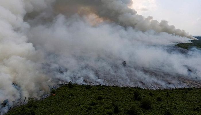 Cháy rừng là vấn đề thường niên tại Indonesia nhưng đây là năm tồi tệ nhất kể từ 2015. Ảnh: Reuters