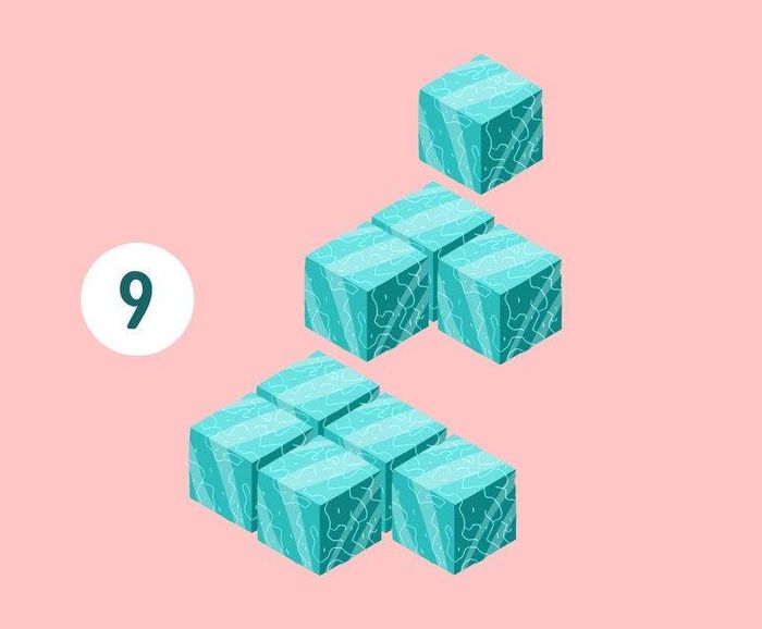 Câu 6:
