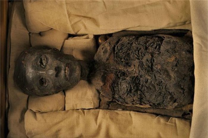  Theo sử sách Tutankhamun lên ngôi báu năm 1332 trước Công nguyên khi mới 9 tuổi. Dưới sự trị vì của ông, Ai Cập có sự phát triển lớn. Triều đại của ông được đánh giá là thời kỳ hoàng kim, phát triển rực rỡ nhất trong mọi vương triều Ai Cập cổ đại. 