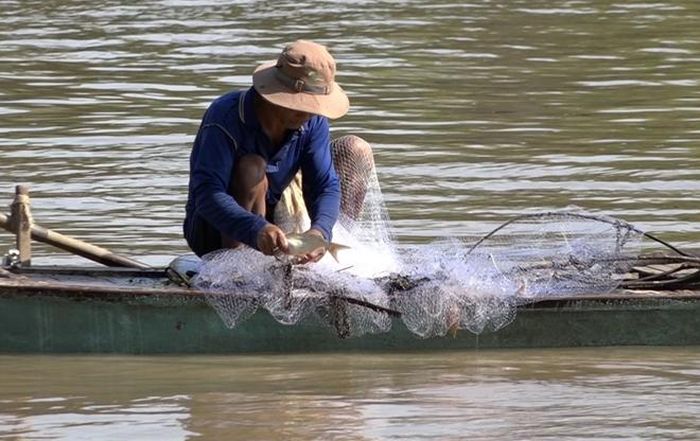 Nước lũ về đem theo nguồn cá đồng dồi dào, giúp người dân miền Tây có thêm thu nhập.