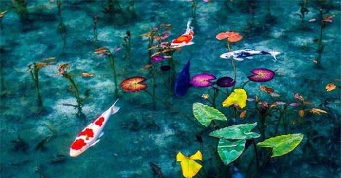  Một điều thú vị khác về ao Monet. Nó sẽ mang những vẻ đẹp khác nhau tùy từng mùa. 