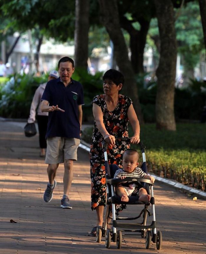 Vạt nắng xuyên qua kẽ lá, đổ xuống đất khiến nhiều người đi bộ thích thú.