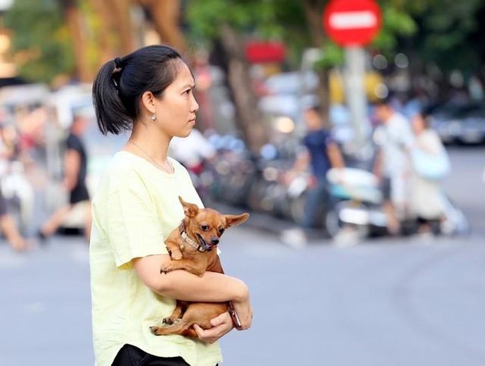 Cái nắng không còn quá gắt, trời chuyển mát, thậm chí se lạnh vào ban đêm cũng đủ để khiến những tâm hồn đa cảm nhận ra.