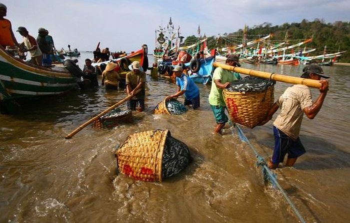 Đã 57 năm, giờ dáng đi của người dân vạn chài quê tôi không còn cúi gập trên đôi chân vòng kiềng nữa. Ảnh minh họa