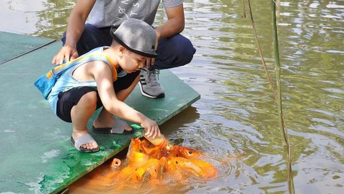 Cho cá bú bình ở Hòa Phú.