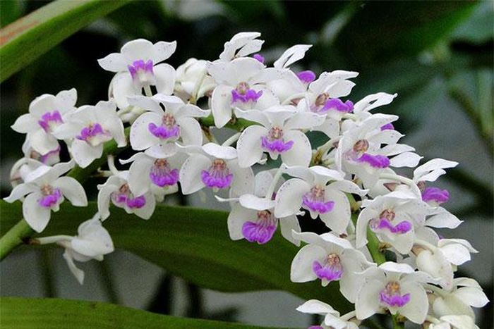 Xin được bắt đầu bằng những năm tháng tuổi hai mươi