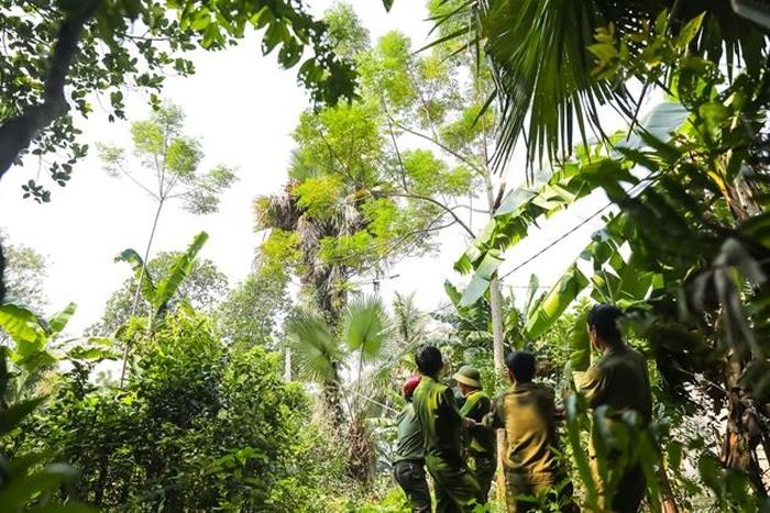 CBCS Công an huyện Hương Sơn giúp dân