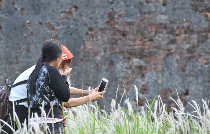 Cận cảnh để có hình hoa tranh rõ nét hơn