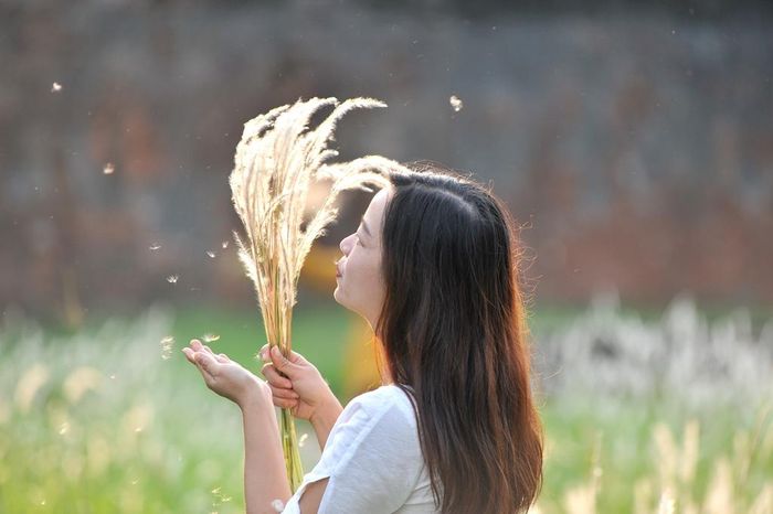 Lung linh trong nắng chiều