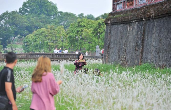 Tranh thủ trước khi hoa chuyển sang màu vàng, rất nhiều người đến "sống ảo" cùng hoa