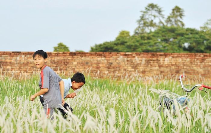 Khoảnh khắc vui đùa của 2 chú nhóc khi hái hoa tranh trên thượng thành