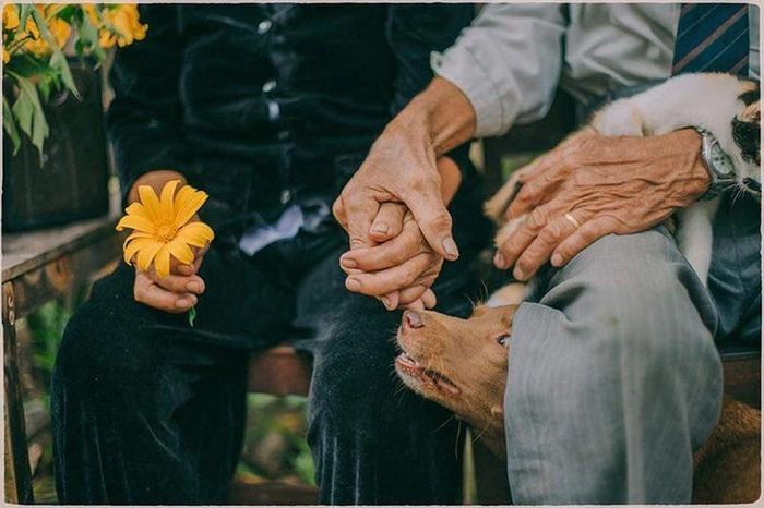 Cái nắm tay bình yên của người già, đánh đổi bằng nhiều giông bão ngày trẻ. Ảnh minh họa