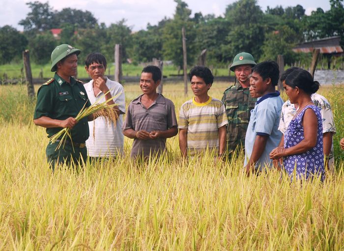 Cán bộ BĐBP Gia Lai hướng dẫn đồng bào DTTS trên địa bàn cách trồng lúa nước, xóa đói giảm nghèo. Ảnh: V.H