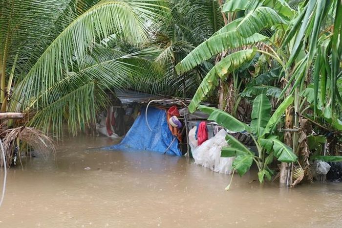 Khu vực Cồn Khương, quận Ninh Kiều, ngập sâu trong nước. Nước tràn qua bờ bao, gây ngập nhà dân, diện tích vườn cây ăn trái, ao nuôi cá. 