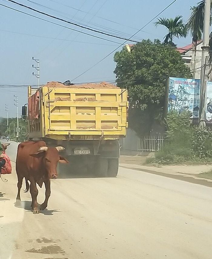 Các xe chở vật liệu không có bạt che đậy, gây ô nhiễm môi trường và tiềm ẩn nguy cơ mất an toàn giao thông cao.