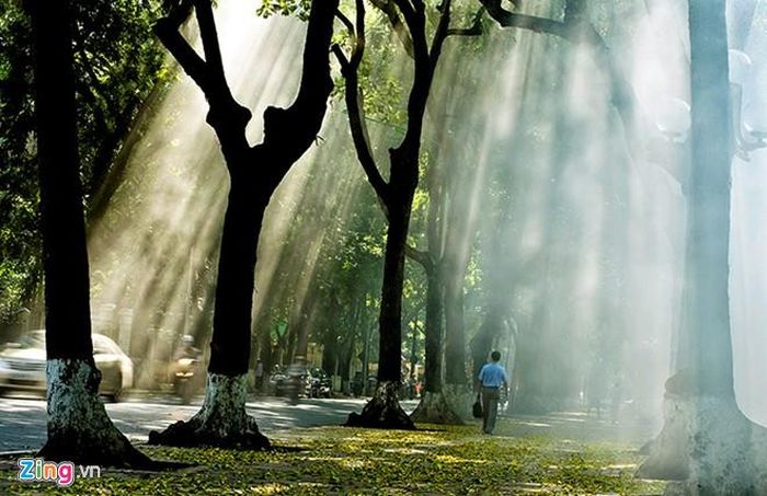 Anh vẫn tìm em. Ảnh: Hoàng Hà