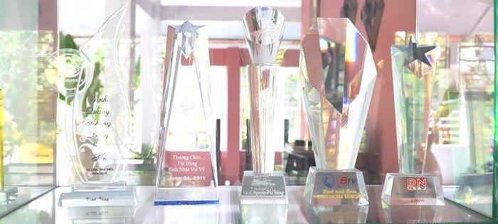 Nhiều cúp lưu niệm được nam ca sĩ đặt ở một góc trang trọng.