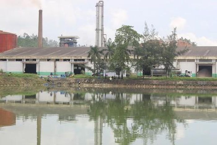 Hồ sinh thái phía sau nhà máy cồn Đại Tân