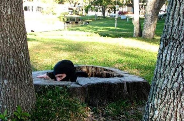 Hé lộ những sự thật thú vị về Ninja - Tạp chí Doanh Nghiệp Việt Nam