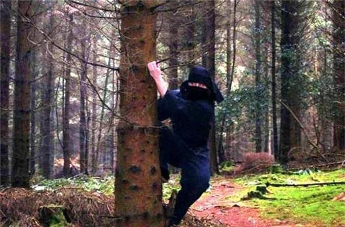 Hé lộ những sự thật thú vị về Ninja - Tạp chí Doanh Nghiệp Việt Nam