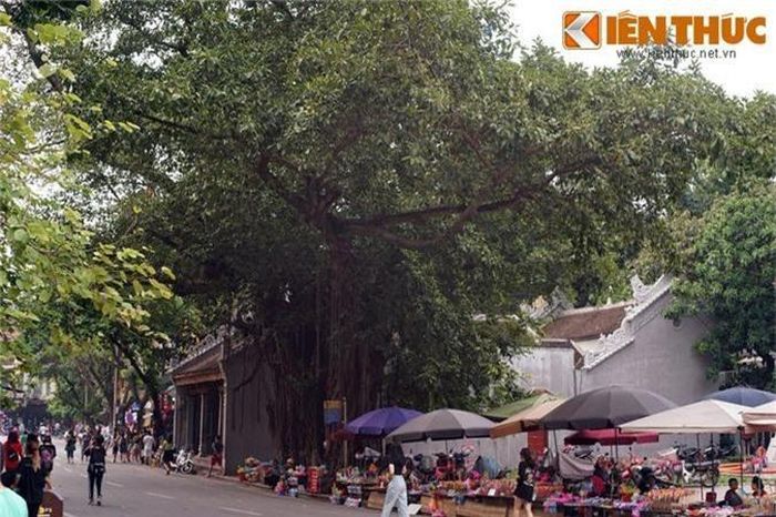 Nằm ở đường Đinh Tiên Hoàng, đối diện đền Ngọc Sơn ở khu vực bờ hồ Gươm, đền Bà Kiệu là một ngôi đền cổ có giá trị đặc biệt về lịch sử và tín ngưỡng của Hà Nội. Hình ảnh của ngôi đền này luôn gắn với một cây đa cổ thụ có tuổi đời cao nhất nhì thủ đô.